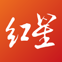 绝对大腿，哈兰德在挪威队最近12场正式比赛中都打入了进球